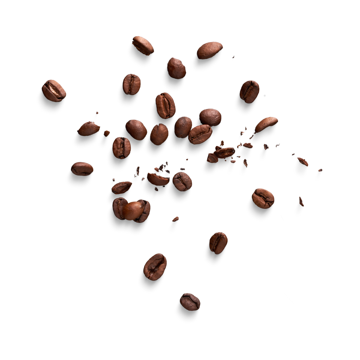 Coffee Beans & Ground Coffee