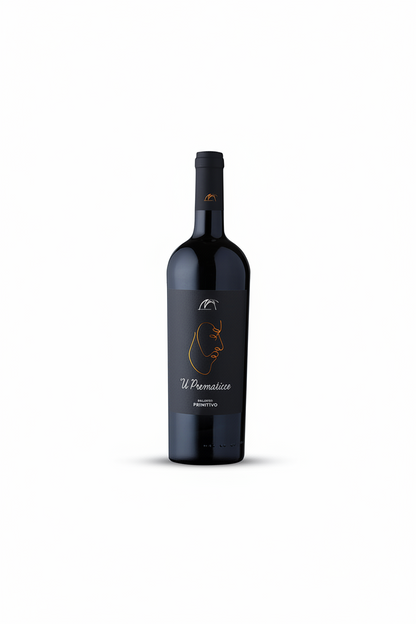 Monsignore│ Salento IGT│Primitivo│ 2022
